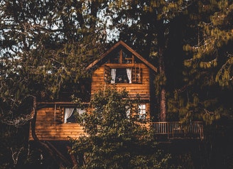 brown-wooden-treehouse