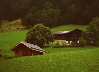 two-brown-wooden-cabins-in-green-grass