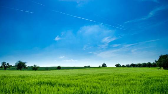 End-to-End Farm Management Expertise